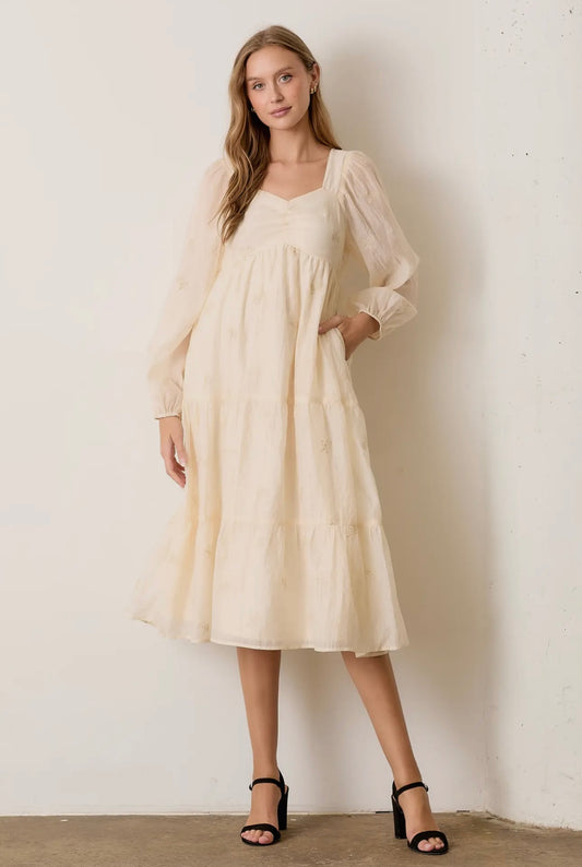 Rose Embroidered Midi Dress